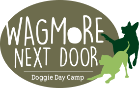 Wagmore Next Door - Doggie Day Camp